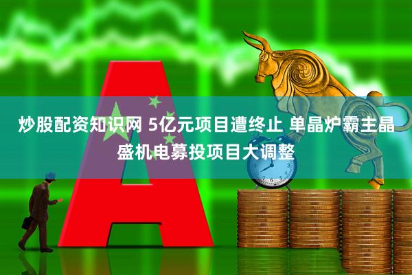 炒股配资知识网 5亿元项目遭终止 单晶炉霸主晶盛机电募投项目大调整